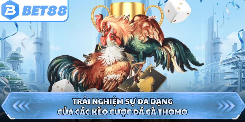 Trải nghiệm sự đa dạng của các kèo cược đá gà Thomo 